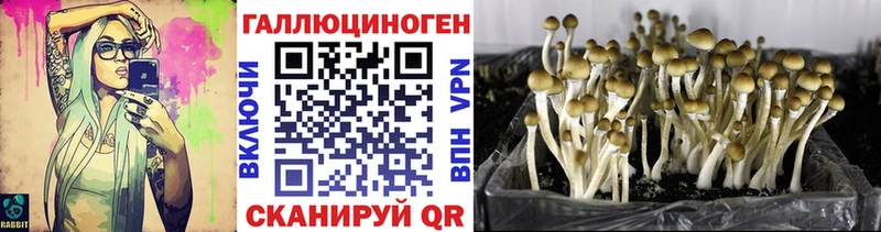что такое наркотик hydra ONION Псилоцибиновые грибы Psilocybine cubensis Магнитогорск