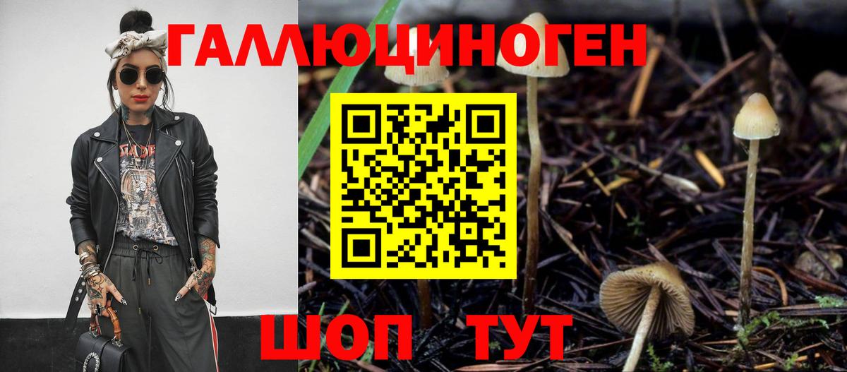 Магнитогорск  Галлюциногенные грибы Cubensis  Вход с VPN 